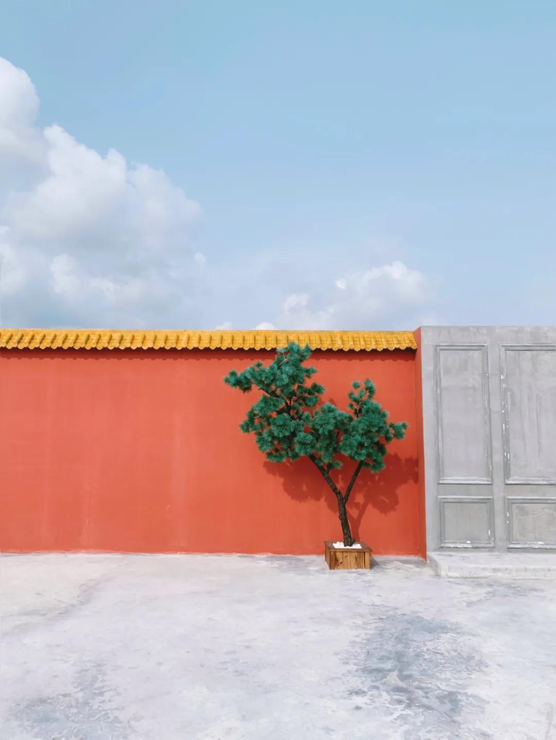 醒图app人像修图使用教程,网红app修图教程