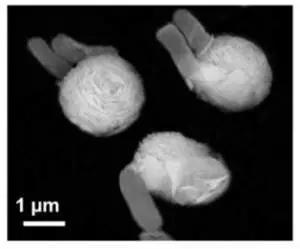 什么消毒液能杀耐药菌,污水处理是不是必用杀菌剂