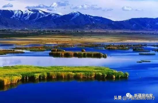 又一封辞职信火了，*疆新**人已传疯