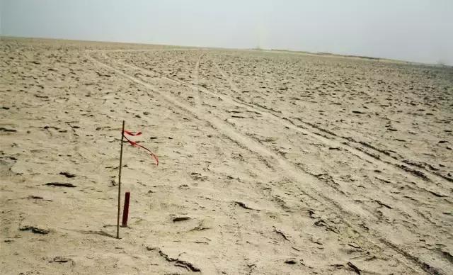 每周一篇深度的高质量的原创长文,万字长文吐血推荐