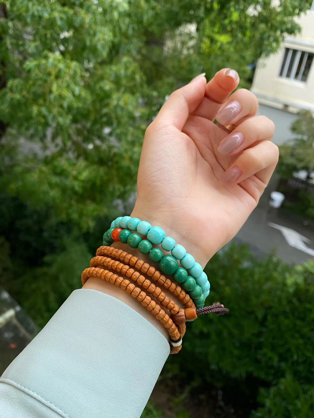 我与凤眼不得不说的奇妙缘分