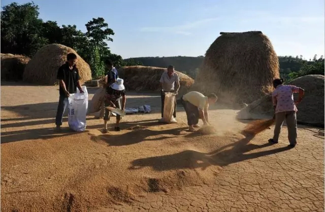 我们曾经放过的麦假