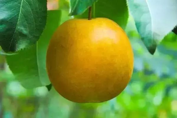 你心目中的乳山是什么样子的？