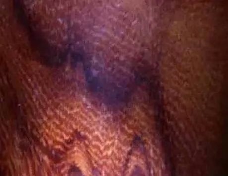 海南黄花梨和小叶紫檀金丝楠木,缅甸花梨和海南黄花梨的图片对比