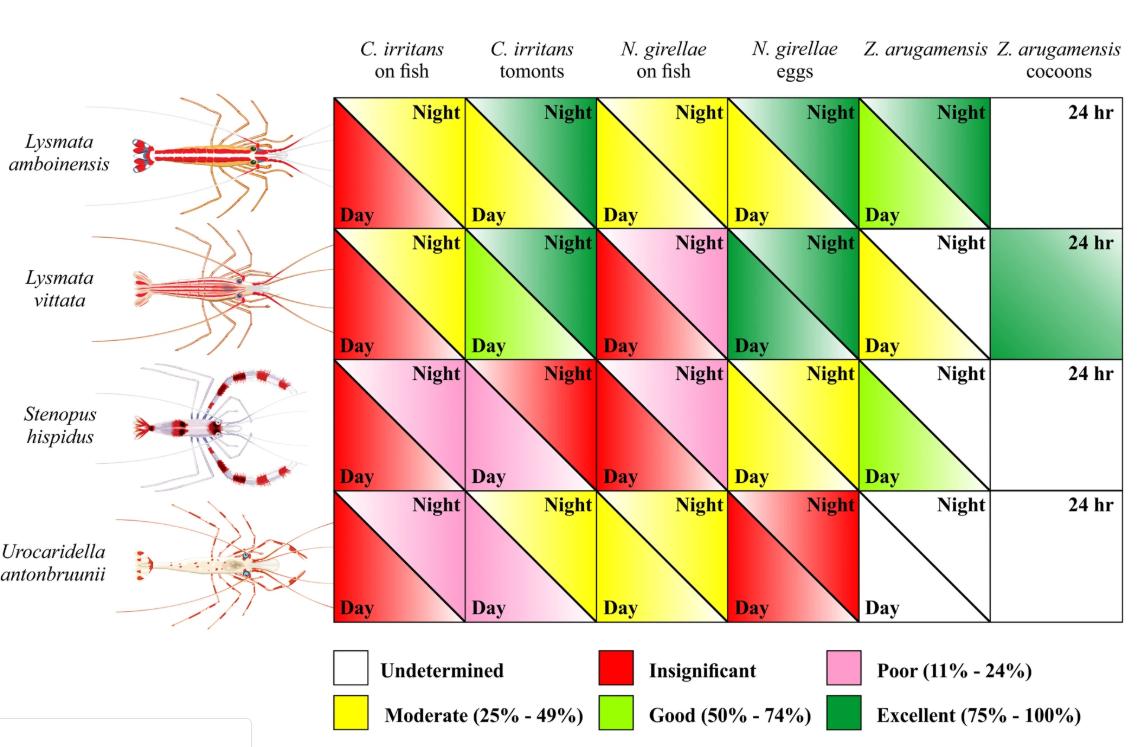 养殖石斑鱼怎么活杀,石斑鱼养殖的杀虫药有哪些