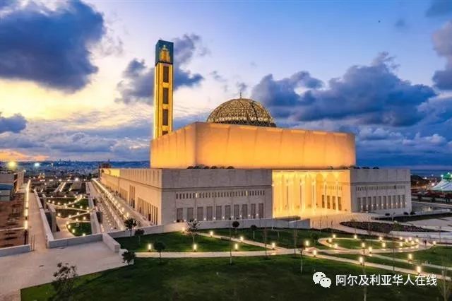 阿尔及利亚华人生活,阿尔及利亚华人的现状