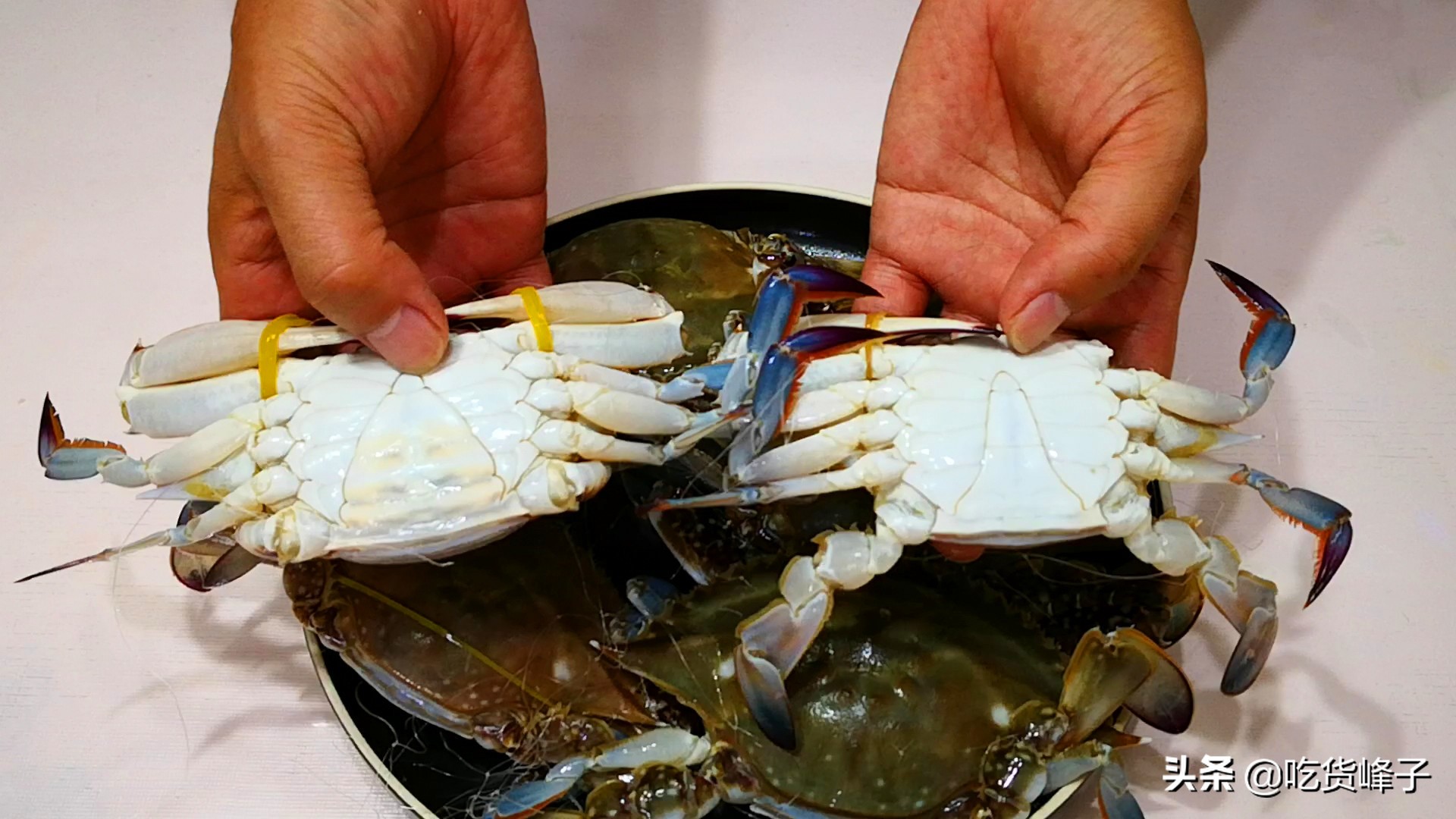 怎么挑选梭子蟹好吃,教你怎么挑梭子蟹