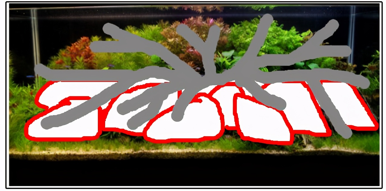 三角形构图水族造景,水族造景构图黄金比例