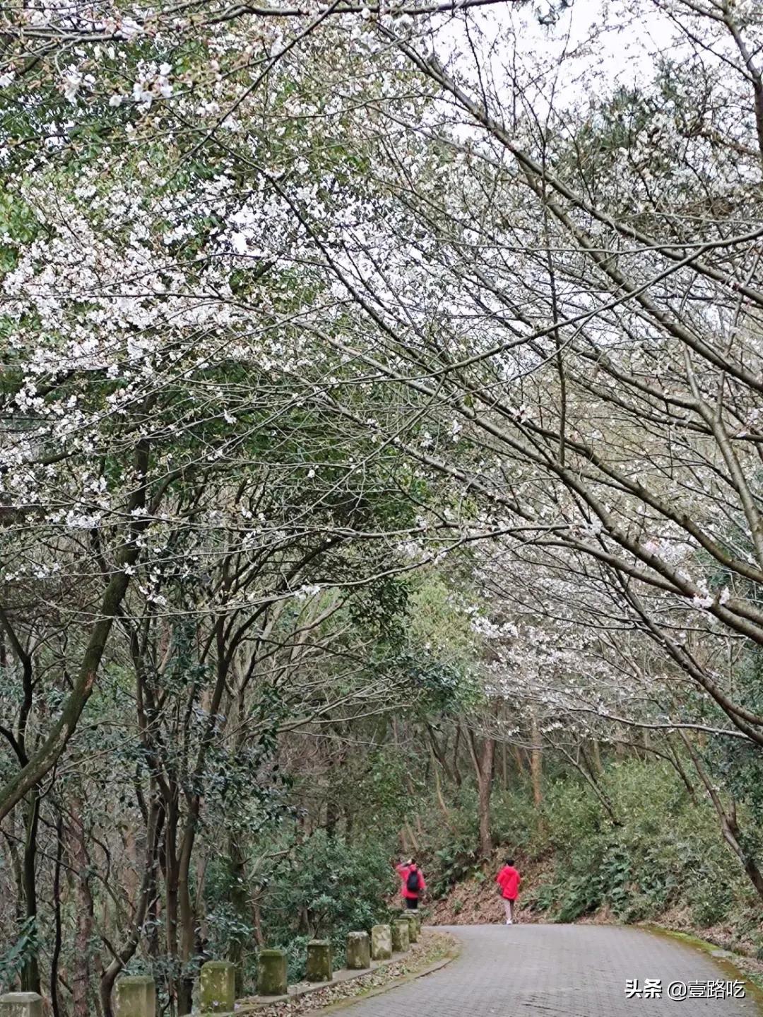 无锡人都在吃什么,无锡人为什么喜欢吃甜的