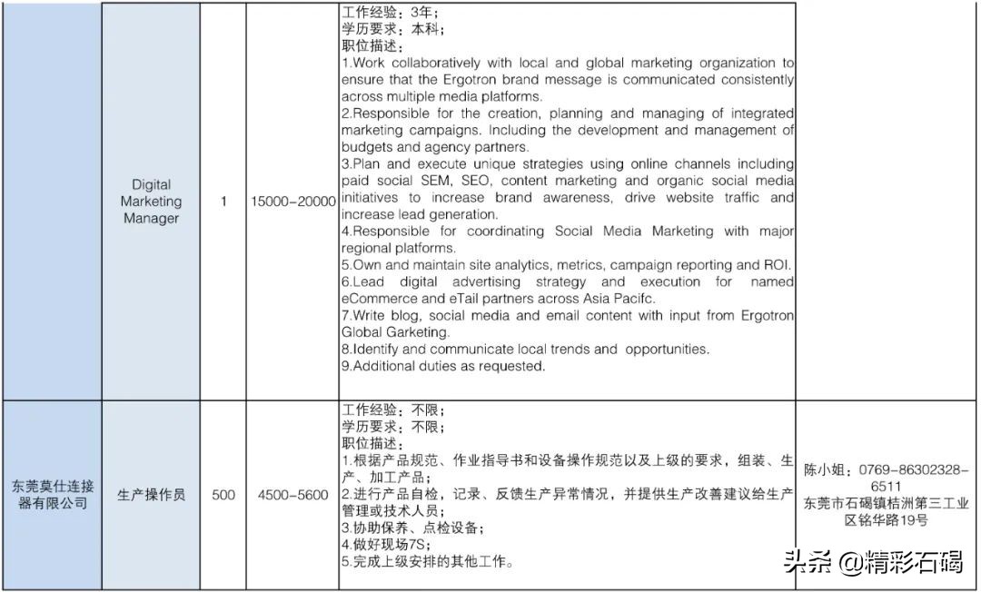 东莞石碣镇招聘编外人员15名,2020石碣政府招聘人员