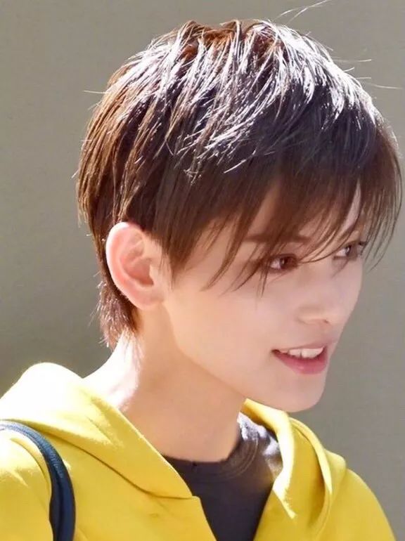 宝冢歌剧团现役男役盘点,宝冢歌剧团男役魅力