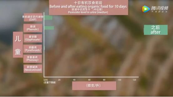 菜吧：为什么要给我们的孩子吃有机食品？