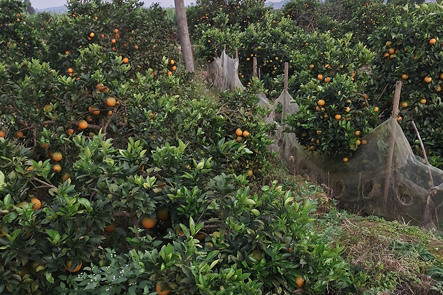 11月份新车扎堆上市,11月新车扎堆上市