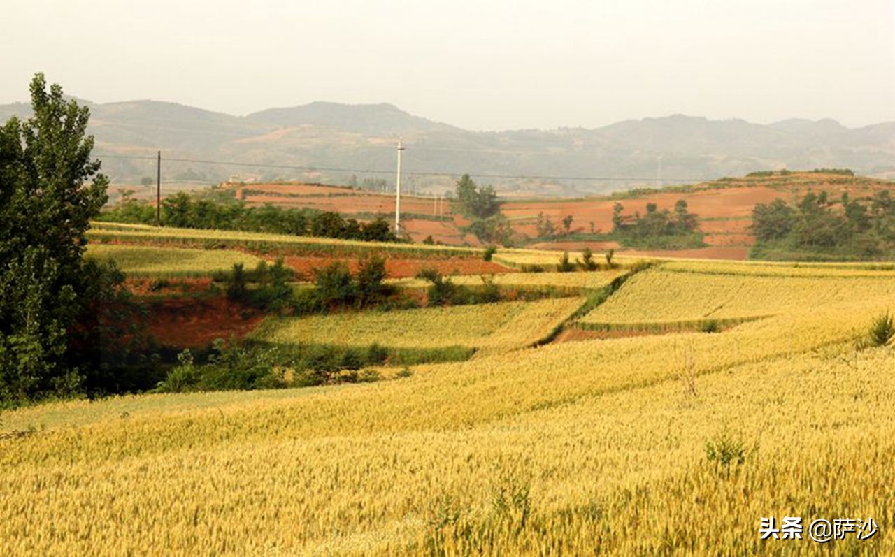 山区女富豪被杀案,美貌少妇乡下遇害真实案例后续