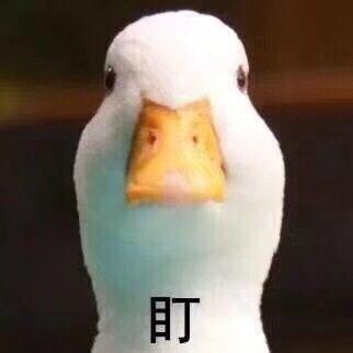 复试不会的问题该怎么回答,复试时遇到不会的问题怎么回答