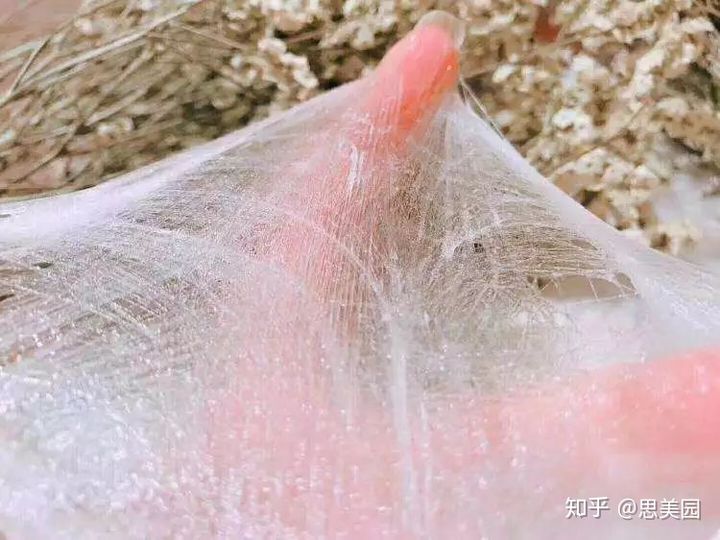 每天都在用的面膜,每天都可以使用的清洁面膜