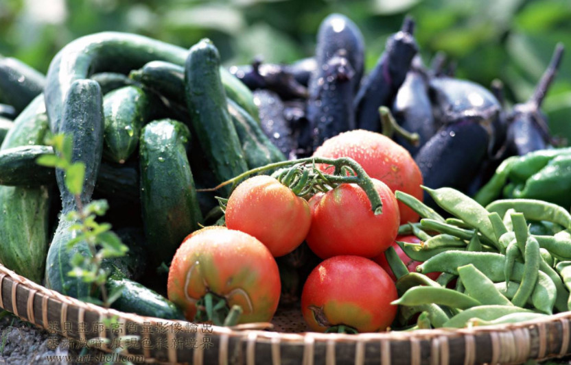 被封在家没有锅怎么办,被封区了没有吃的怎么办