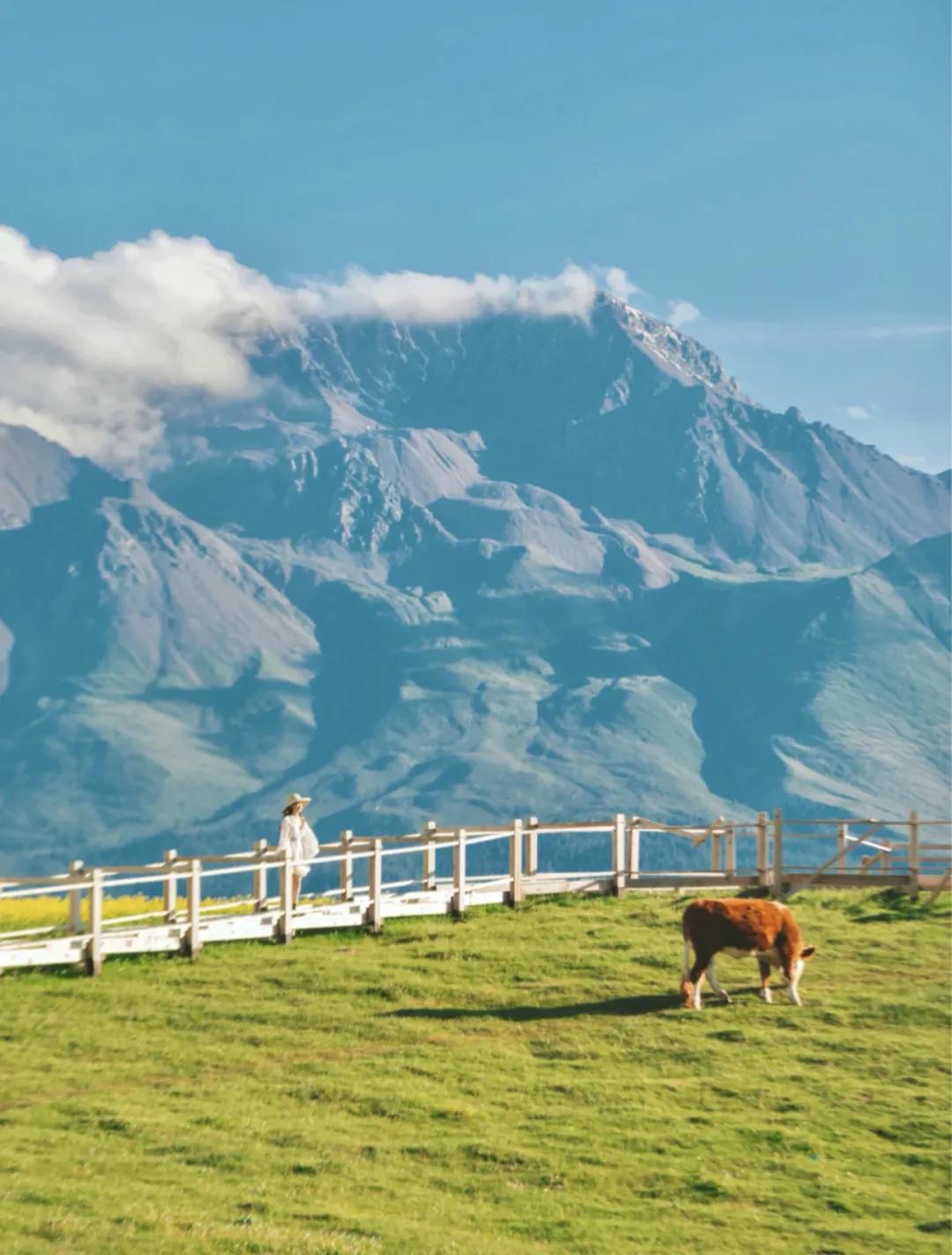 重庆暑假避暑好去处,暑假来了去哪里玩