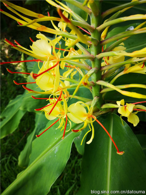 在新西兰你活得多自在,新西兰成功治好了我的焦虑