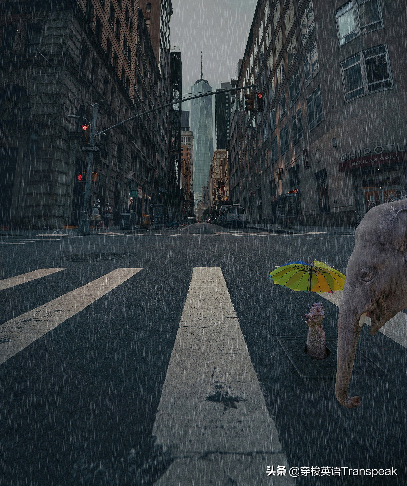 fallingafinerain难道是下了一场好雨？