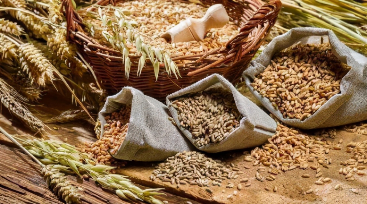 五粮金樽精品,五粮金樽是好酒吗