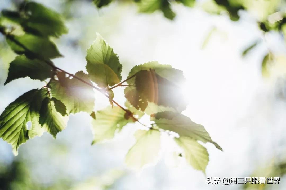 ​有些小事很小，坚持下来也能变成修行