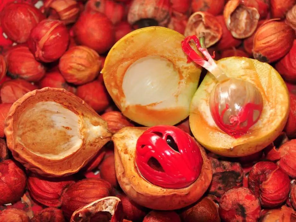 槟城土特产店推荐,槟城必吃的零食