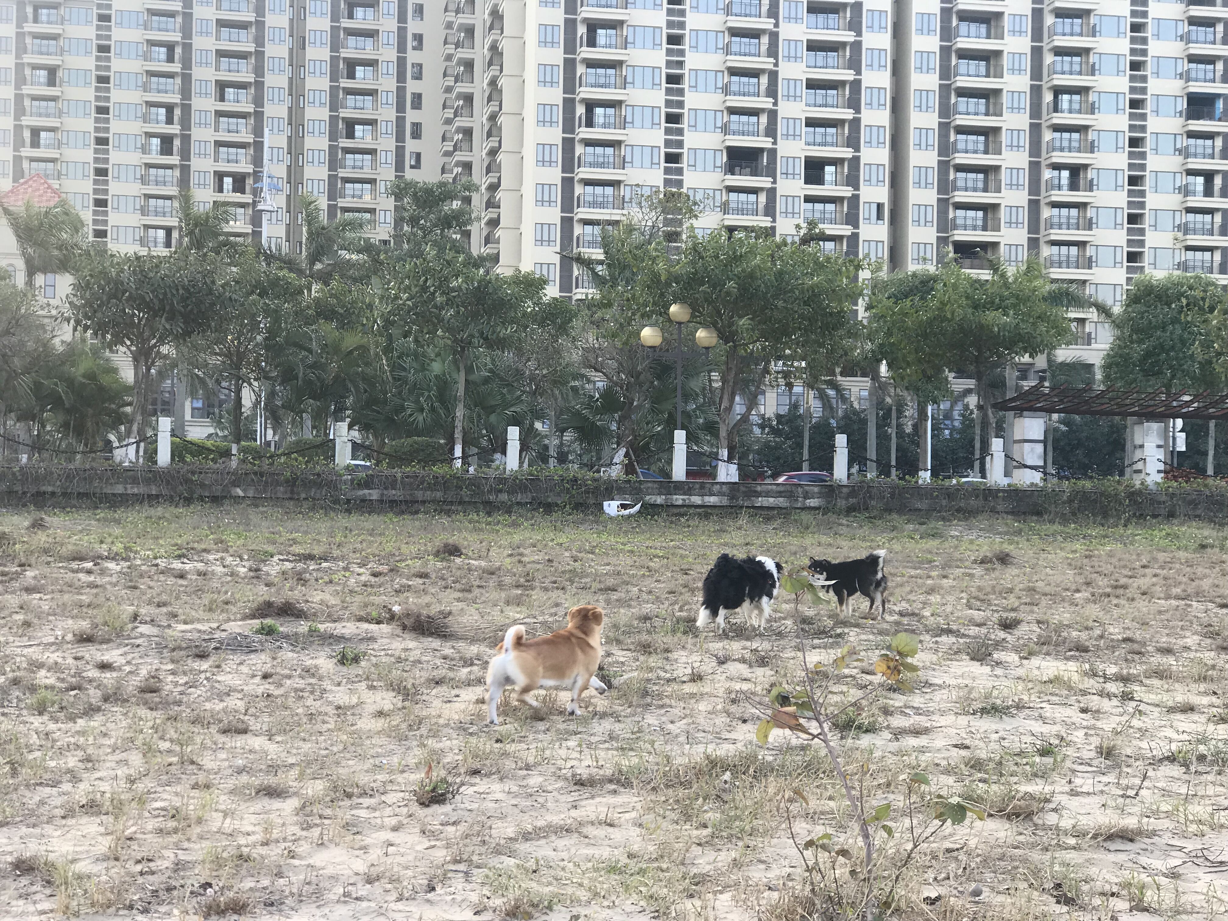 又见东兴,故地重游口岸都关闭了,不同时间不同伙伴不同心情