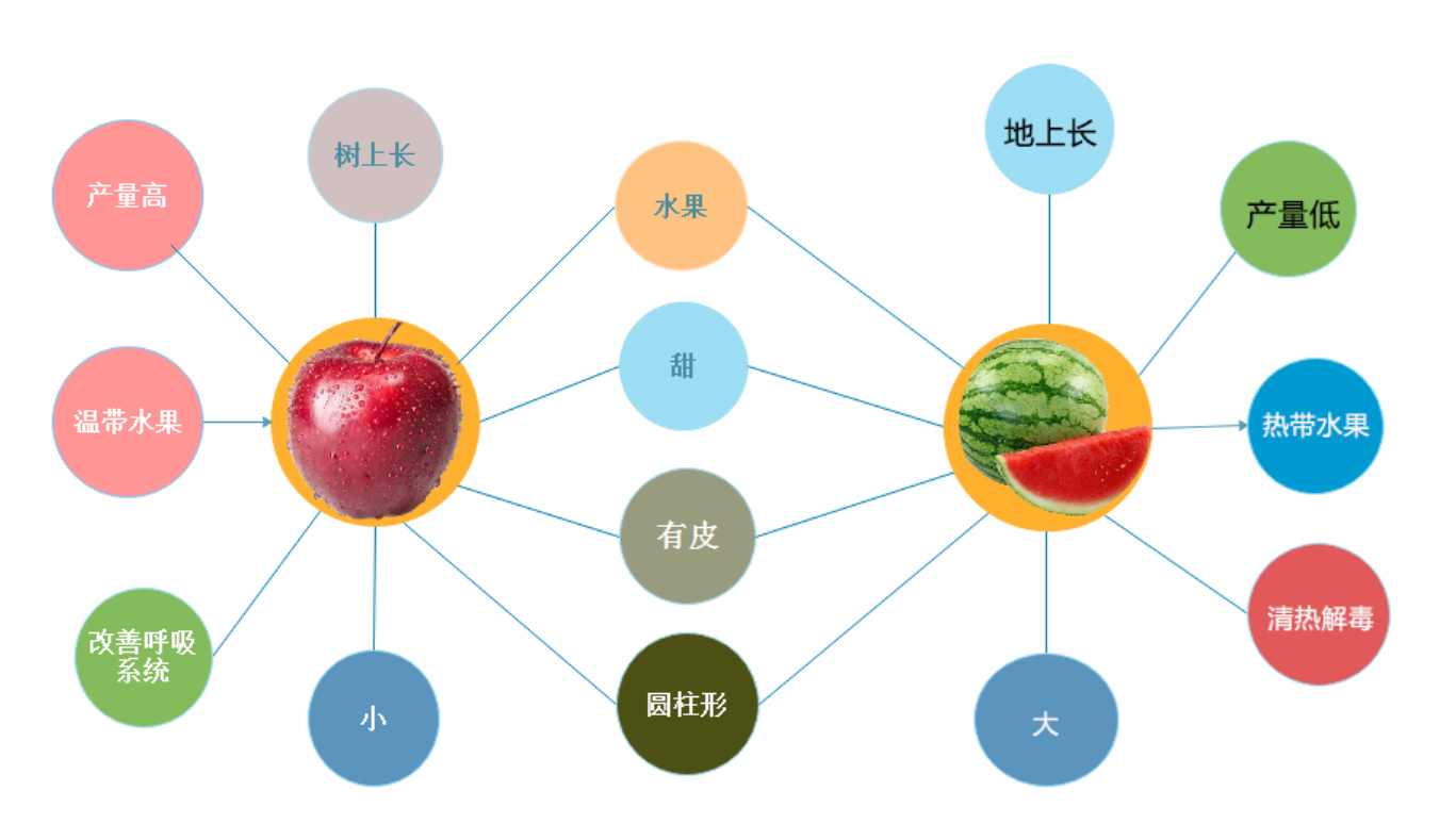 思维导图精读绘本,思维导图圆圈图与气泡图的相同点
