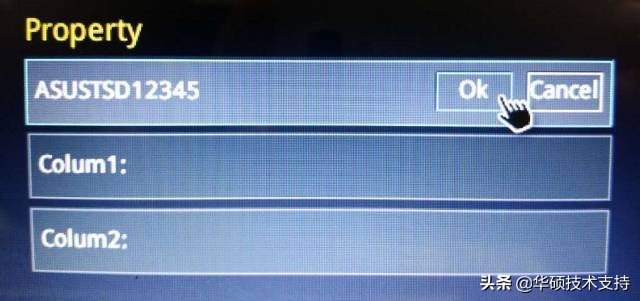 bios里面efi设置成什么数值,opencoreefi配置教程