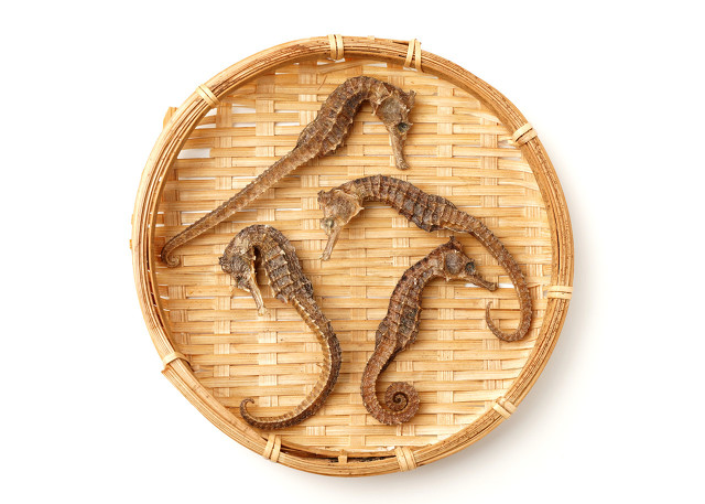 中医肾虚食补真的有用吗,肾虚吃了滋补的中药多久有效果