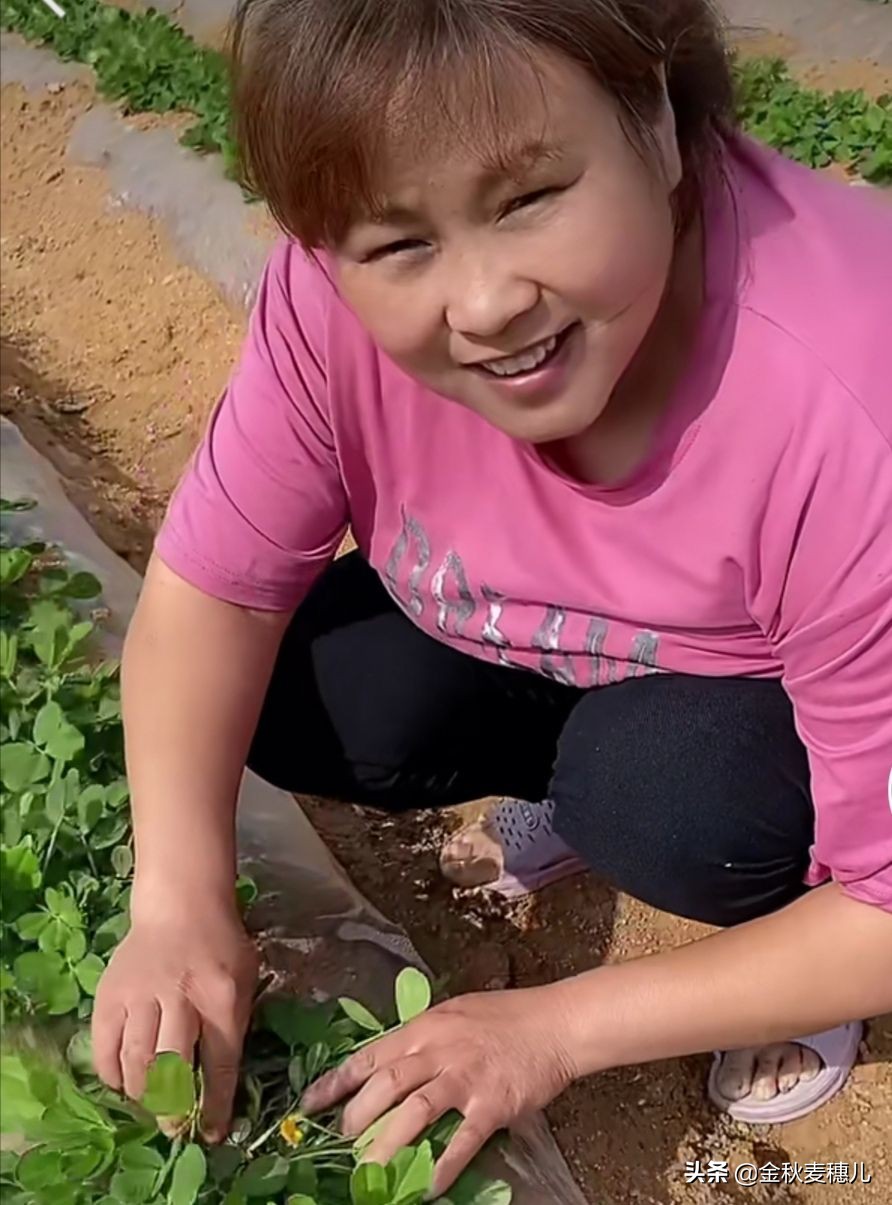 《落花生》课文原文,落花生是什么意思