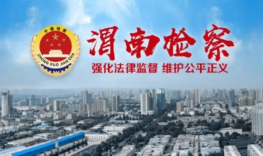 收藏家被骗3亿多始末,古董收藏家2