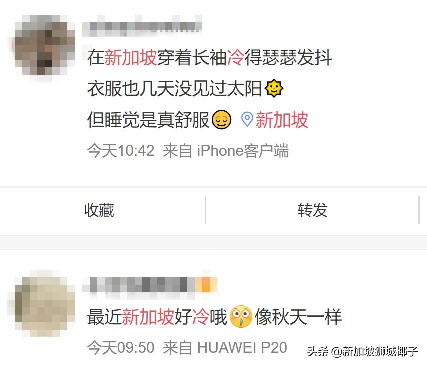 新加坡冻成狗,新加坡狂风暴雨来袭