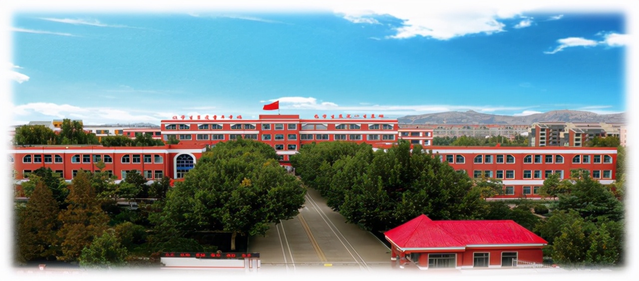 平度南京路小学2009,平度南京路小学桥