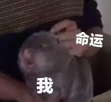 20岁就被叫阿姨怎么办,20岁就被叫阿姨是真的吗