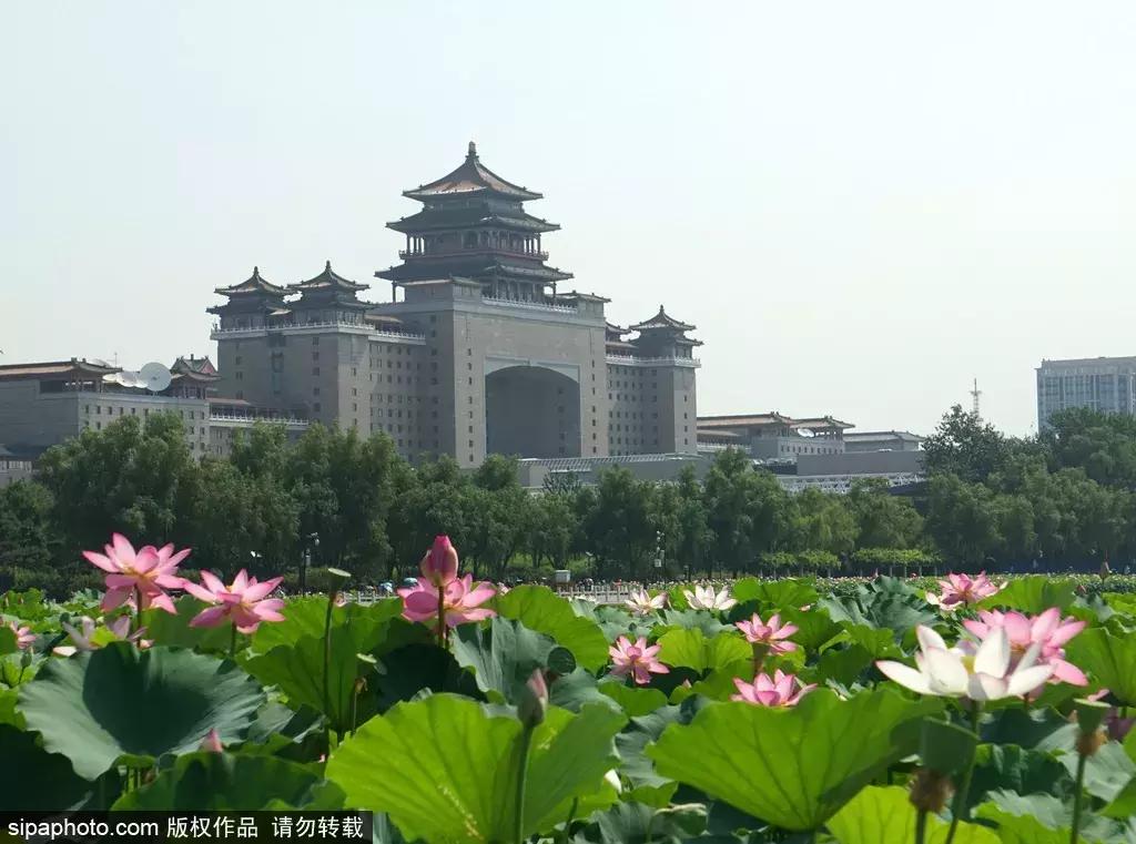 适合旅游的免费景点北京,推荐北京假期游玩的地方