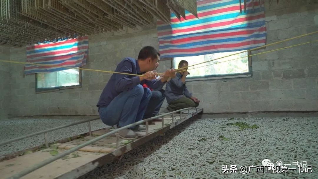 娉楁按鑴辫传鏀诲潥,娴庡畞娉楁按鎵惰传