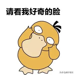 南宁租车6万诈骗案,南宁男子诈骗汽车