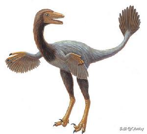 恐龙大百科恐龙探秘,恐龙探秘恐龙化石