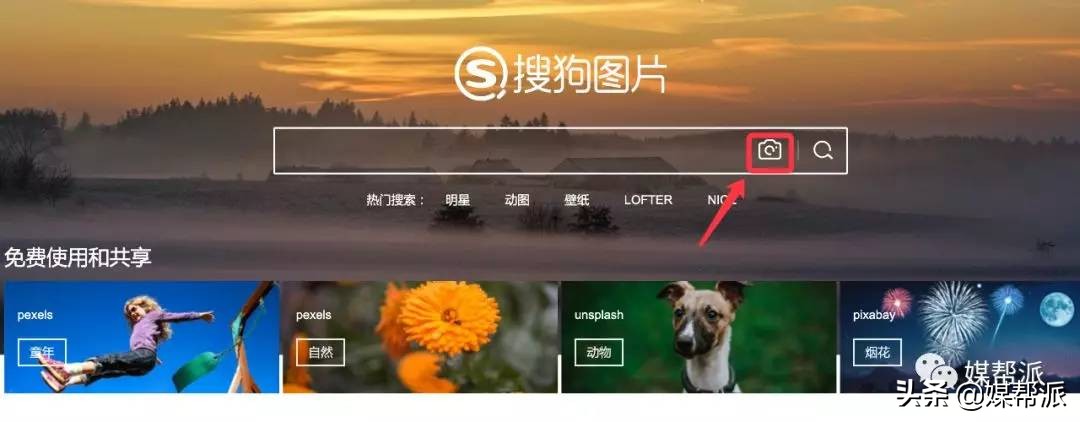 最全识图网站,全网站最全识图工具