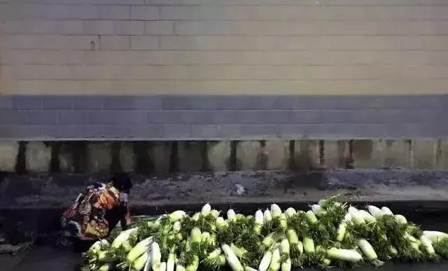 北漂在大理的生活,北漂女子住大理