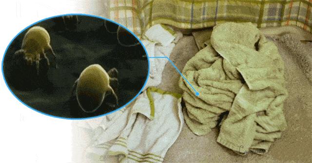 日本ito洗脸面巾还能用吗,日本ito洗脸巾柔软不掉毛