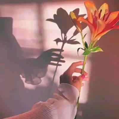 哪首歌藏着你的故事,你的故事藏在哪首歌里