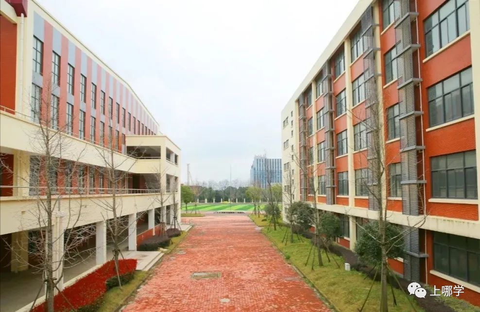 涓婃捣鏁欒偛璧勬簮澶х垎鍙戝尯,涓婃捣鏂板瀛︿綅