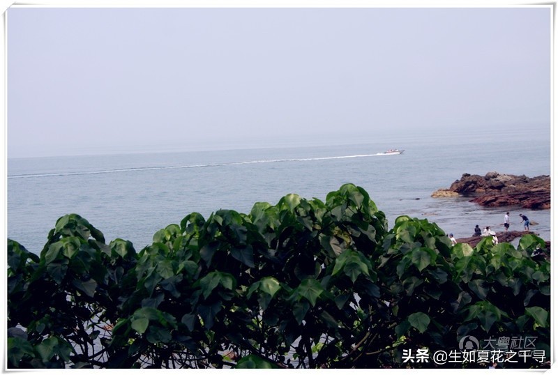 深圳市杨梅坑美人鱼拍摄基地,深圳大鹏杨梅坑美人鱼拍摄地点