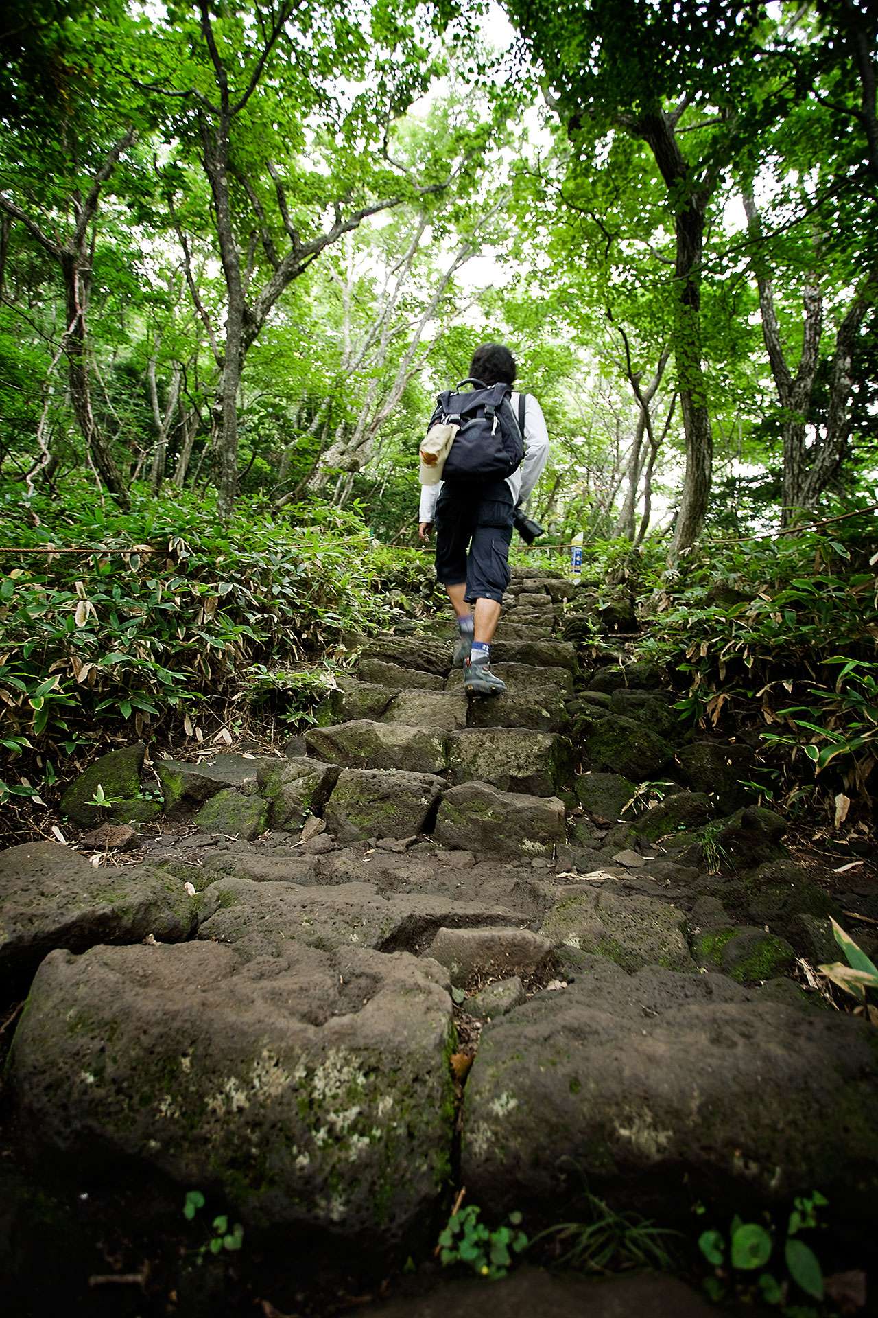 首尔亲子游攻略,首尔情侣攻略
