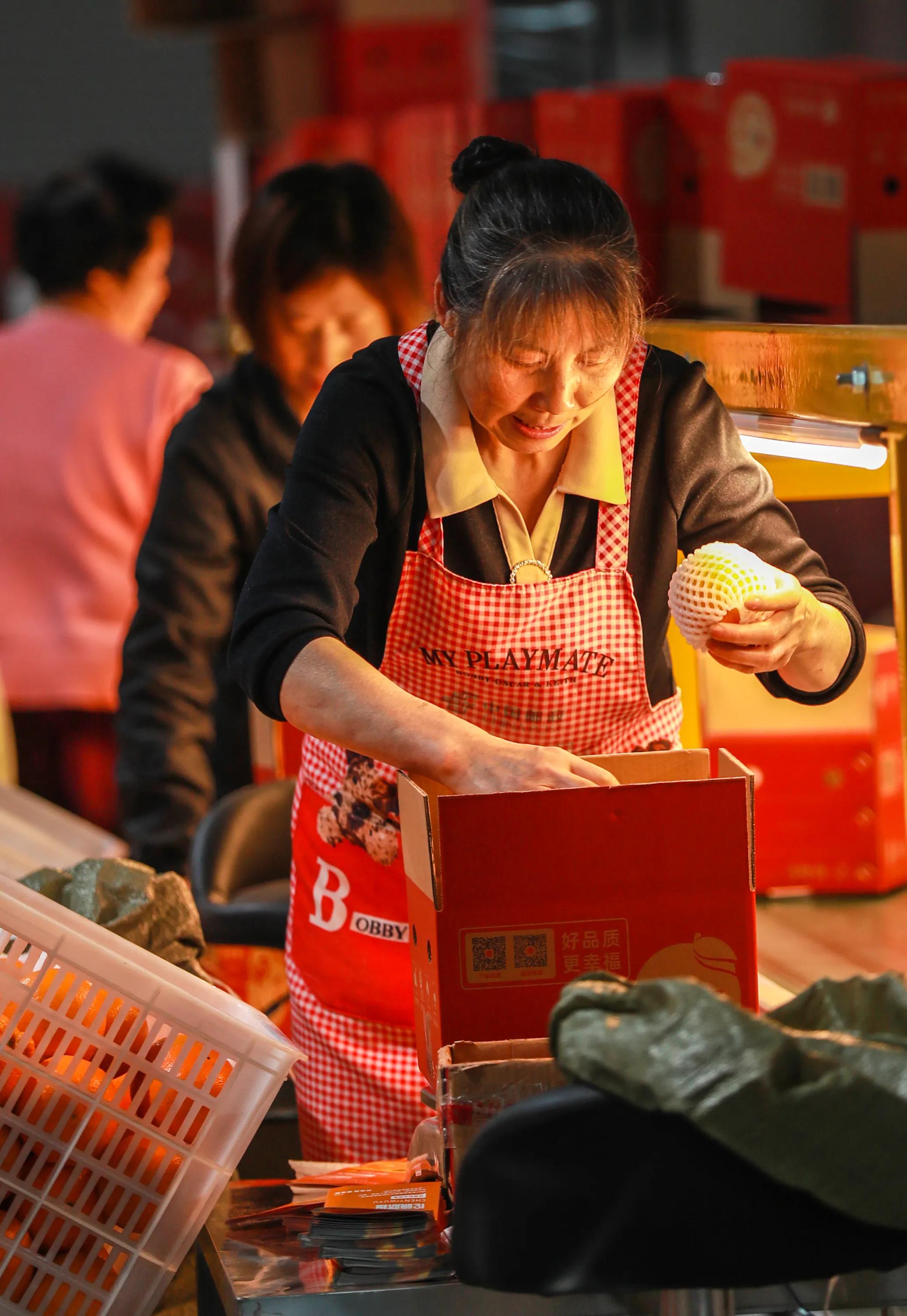 秭归县柑橘加工,秭归脐橙分选