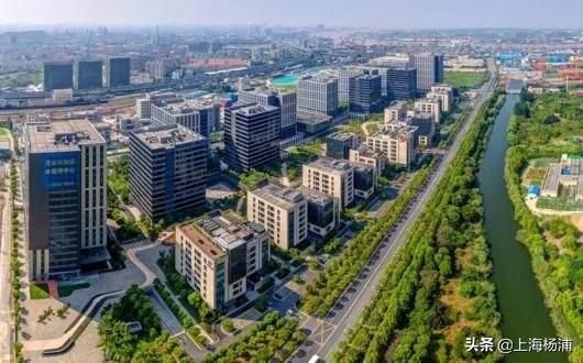 后来的TA们都怎样了？又一批企业获颁杨浦这个称号！