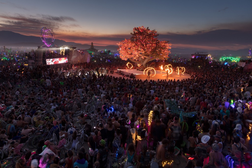 世界十大最孤独的树,世界上最孤独的树在哪